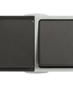 Opbouw Combinatie Wandcontactdoos 1-voudig + Wisselschakelaar RA IP54 Lichtgrijs/donkergrijs Spatwaterdicht