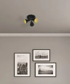 FLAIR Opbouwspot Alrakis 3-lichts Zwart-goud