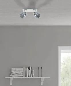 FLAIR Plafondspot Acubens 2-lichts Nikkel/rookglas