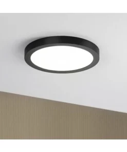 PAULMANN LED Plafonniere Abia Ø 30 Cm Zwart
