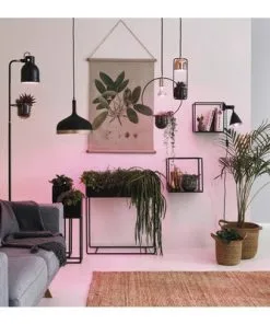 PAULMANN LED Grow Green Plantenlamp E27/6,5W R63 7 PAULMANN LED Grow Green Plantenlamp E27/6,5W R63 -Binnenverlichting Verkoopwinkel DV 8 10209214 05 4c CH 20191118211653