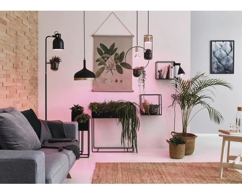 PAULMANN LED Grow Green Plantenlamp E27/6,5W R63 4 PAULMANN LED Grow Green Plantenlamp E27/6,5W R63 - Afbeelding 4