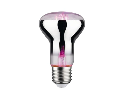 PAULMANN LED Grow Green Plantenlamp E27/6,5W R63 2 PAULMANN LED Grow Green Plantenlamp E27/6,5W R63 - Afbeelding 2