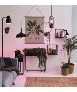 PAULMANN LED Grow Green Plantenlamp E27/6,5W PAR38 6 PAULMANN LED Grow Green Plantenlamp E27/6,5W PAR38 -Binnenverlichting Verkoopwinkel DV 8 10257754 05 4c AT 20221222084651