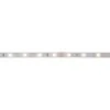 PAULMANN MaxLED 250 LED-strip Warmwit 100 Cm Zilver Ongecoat