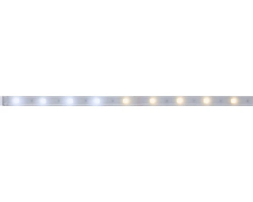 PAULMANN MaxLED 250 LED-strip Instelbaar Wit 100 Cm Zilver Gecoat 1 PAULMANN MaxLED 250 LED-strip Instelbaar Wit 100 Cm Zilver Gecoat