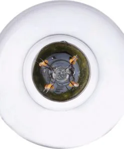 FLAIR LED Lamp E27/4W A60 Warmwit Helder -Binnenverlichting Verkoopwinkel DV 8 10437232 03 4c DE 20211012074651