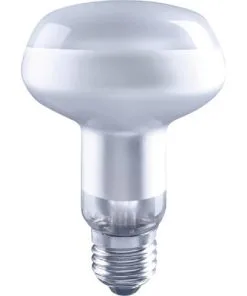 FLAIR LED Lamp E27/6,5W R80 Daglichtwit Mat