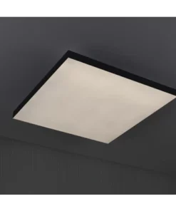 PAULMANN LED-paneel Loria Rainbow 45x45 Cm CCT+RGB Zwart -Binnenverlichting Verkoopwinkel DV 8 10469967 15 4c AT 20220707215824