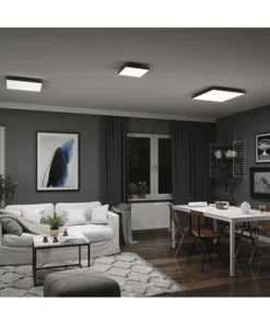 PAULMANN LED-paneel Loria Rainbow 45x45 Cm CCT+RGB Zwart -Binnenverlichting Verkoopwinkel DV 8 10469967 21 4c AT 20220708131758 1