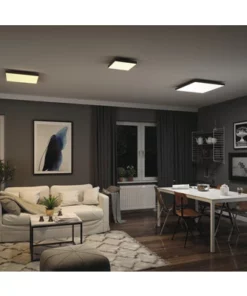 PAULMANN LED-paneel Loria Rainbow 45x45 Cm CCT+RGB Zwart -Binnenverlichting Verkoopwinkel DV 8 10469967 22 4c AT 20220708131758 1