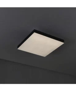 PAULMANN LED-paneel Loria Rainbow 29,5x29,5 Cm CCT+RGB Zwart -Binnenverlichting Verkoopwinkel DV 8 10469971 05 4c DE 20210706154651