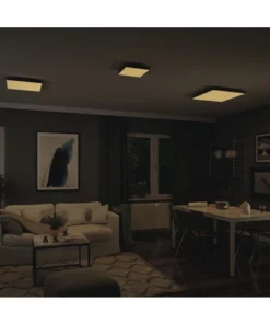 PAULMANN LED-paneel Loria Rainbow 45x45 Cm CCT+RGB Zwart -Binnenverlichting Verkoopwinkel DV 8 10469971 11 4c AT 20220708131758 1