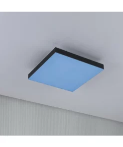 PAULMANN LED-paneel Loria Rainbow 29,5x29,5 Cm CCT+RGB Zwart -Binnenverlichting Verkoopwinkel DV 8 10469971 19 4c AT 20220707233952