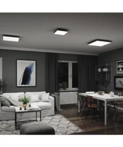 PAULMANN LED-paneel Loria Rainbow 59,5x59,5 Cm CCT+RGB Zwart -Binnenverlichting Verkoopwinkel DV 8 10469974 10 4c CH 20220209161925