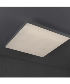 PAULMANN LED-paneel Loria Rainbow 45x45 Cm CCT+RGB Wit -Binnenverlichting Verkoopwinkel DV 8 10470059 13 4c AT 20220708111753