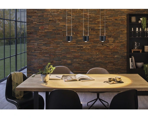 PAULMANN URail LED Hanglamp Aldan Zwart Mat 3 PAULMANN URail LED Hanglamp Aldan Zwart Mat - Afbeelding 3