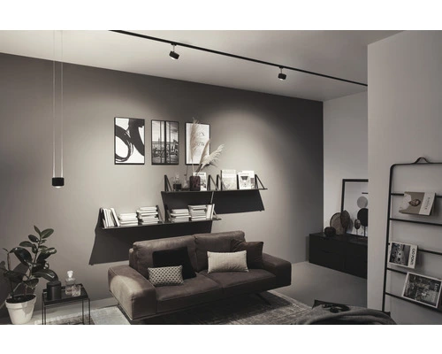 PAULMANN URail LED Hanglamp Aldan Zwart Mat 1 PAULMANN URail LED Hanglamp Aldan Zwart Mat