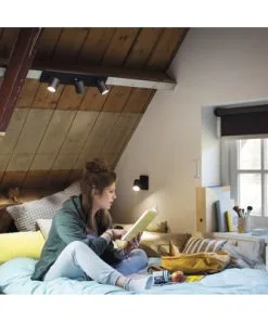 PHILIPS Hue White Ambiance LED Opbouwspot Runner 2-lichts Zwart -Binnenverlichting Verkoopwinkel DV 8 10476607 02 4c DE 20210809133039