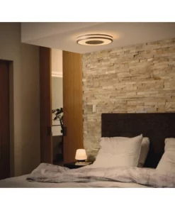 PHILIPS Hue White Ambiance LED Plafondlamp Being Aluminium 20 PHILIPS Hue White Ambiance LED Plafondlamp Being Aluminium -Binnenverlichting Verkoopwinkel DV 8 10476609 05 4c DE 20210809134654