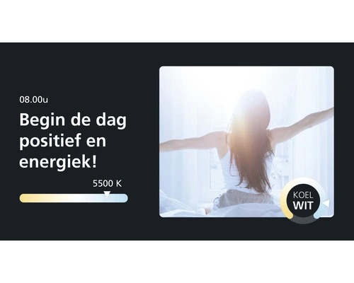 EGLO CROSSLINK.Z LED Plafonniere Totari Ø 38 Cm CCT Wit 4 EGLO CROSSLINK.Z LED Plafonniere Totari Ø 38 Cm CCT Wit - Afbeelding 4