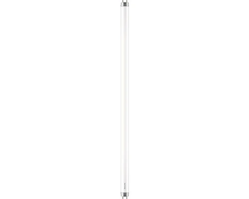PHILIPS LED-buis T8 G13/8W 600 Mm Daglichtwit 1 PHILIPS LED-buis T8 G13/8W 600 Mm Daglichtwit