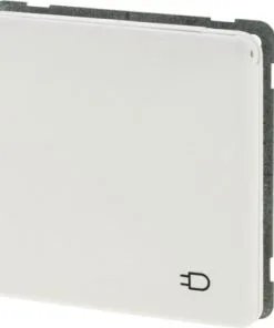 PEHA Standard Inbouw Wandcontactdoos 1-voudig RA Met Klep Polarwit -Binnenverlichting Verkoopwinkel DV 8 10660029 06 4c NL 20230204214654