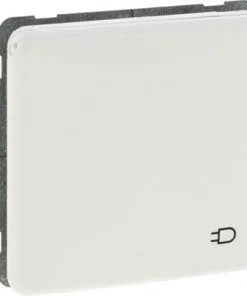 PEHA Standard Inbouw Wandcontactdoos 1-voudig RA Met Klep Polarwit -Binnenverlichting Verkoopwinkel DV 8 10660029 07 4c NL 20230204214654