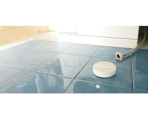 EYSTON Akoestische Watermelder 2 EYSTON Akoestische Watermelder - Afbeelding 2