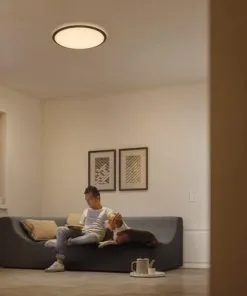 PHILIPS LED Plafonniere Cavanal Ø 35 Cm Warm Wit -Binnenverlichting Verkoopwinkel DV 8 4614122 11 4c SE 20201029161651