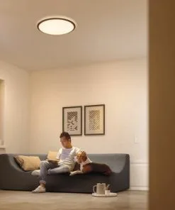 PHILIPS LED Plafonniere Cavanal Ø 35 Cm Warm Wit -Binnenverlichting Verkoopwinkel DV 8 4614122 15 4c SE 20201029161651