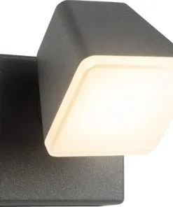 AEG LED Buitenlamp Isacco Antraciet-wit