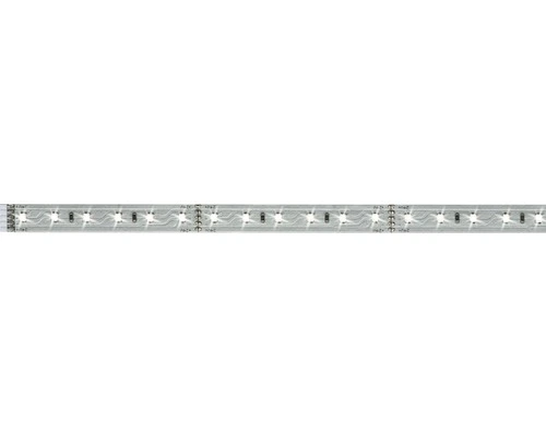 PAULMANN MaxLED 500 LED-strip Daglichtwit 100 Cm Zilver Ongecoat 1 PAULMANN MaxLED 500 LED-strip Daglichtwit 100 Cm Zilver Ongecoat