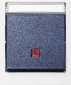 ROTH LANGE Opbouw Wisselschakelaar Met Controlelampje IP55 Gijs/blauw Spatwaterdicht