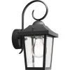 PHILIPS Buitenlamp Buzzard Zwart