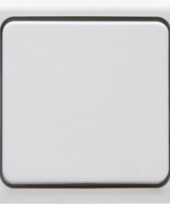 ROTH LANGE Opbouw Wisselschakelaar Polarwit