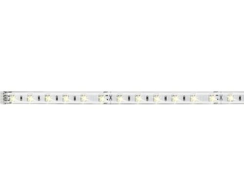PAULMANN MaxLED 500 LED-strip Instelbaar Wit 100 Cm Zilver Gecoat 1 PAULMANN MaxLED 500 LED-strip Instelbaar Wit 100 Cm Zilver Gecoat