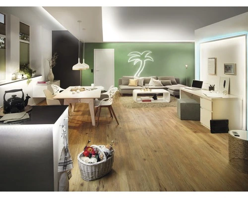 PAULMANN MaxLED 500 LED-strip Warmwit 250 Cm Zilver Ongecoat 3 PAULMANN MaxLED 500 LED-strip Warmwit 250 Cm Zilver Ongecoat - Afbeelding 3