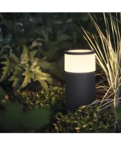 PHILIPS Hue White And Color Ambiance LED Sokkellamp Calla Zwart 24V (excl. Transformator) 9 PHILIPS Hue White And Color Ambiance LED Sokkellamp Calla Zwart 24V (excl. Transformator) -Binnenverlichting Verkoopwinkel DV 8 6781474 01 4c CZ 20220107104756