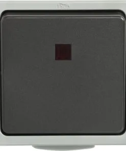 Opbouw Wisselschakelaar Met Controlelampje IP54 Lichtgrijs/donkergrijs Spatwaterdicht