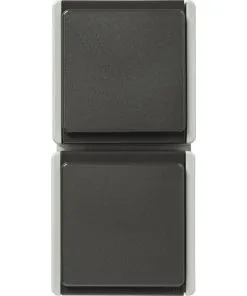 Opbouw Wandcontactdoos (wcd) 2-voudig RA IP54 Lichtgrijs/donkergrijs Spatwaterdicht