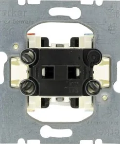 BERKER Inbouw Basiselement Schakelaar 2-polig