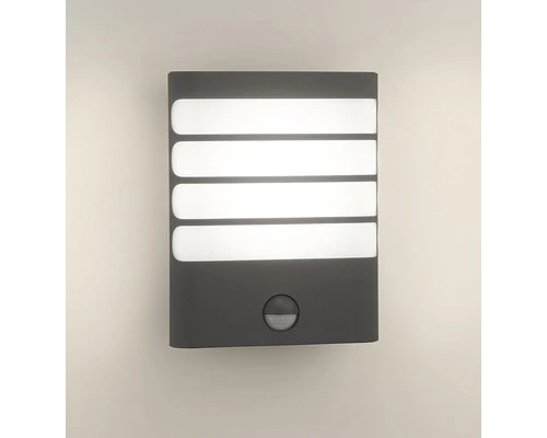 PHILIPS LED Buitenlamp Raccoon Met Sensor Antraciet 3 PHILIPS LED Buitenlamp Raccoon Met Sensor Antraciet - Afbeelding 3