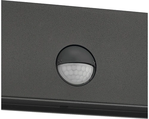 PHILIPS LED Buitenlamp Raccoon Met Sensor Antraciet 4 PHILIPS LED Buitenlamp Raccoon Met Sensor Antraciet - Afbeelding 4